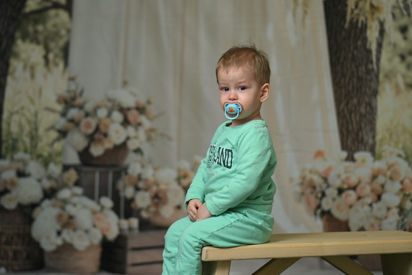 0095 Carbni Svet Plus Konjarnik